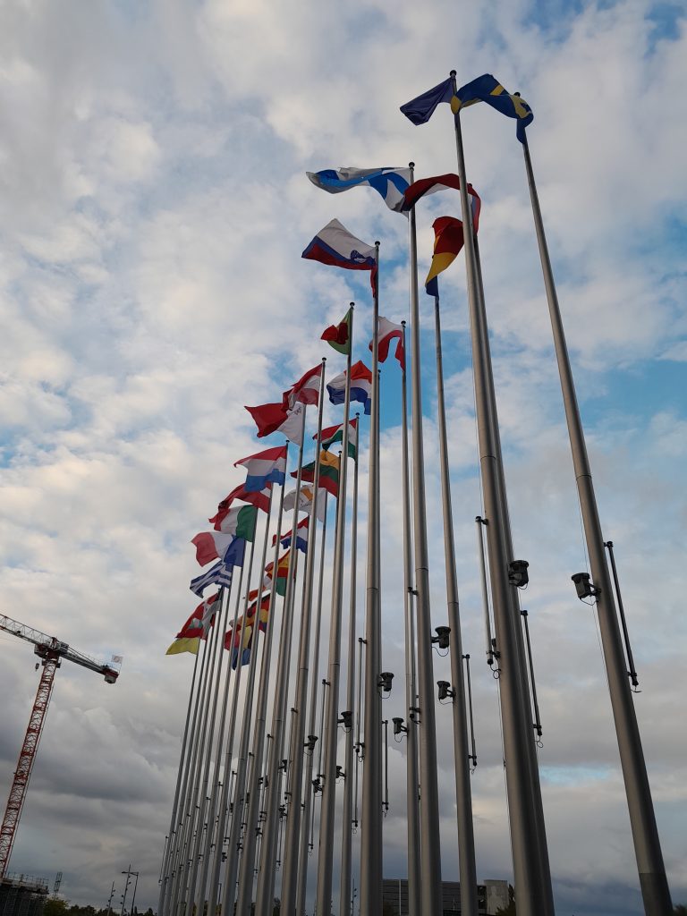 Clear Language at the European Parliament, a webinar with Cathy Waibel